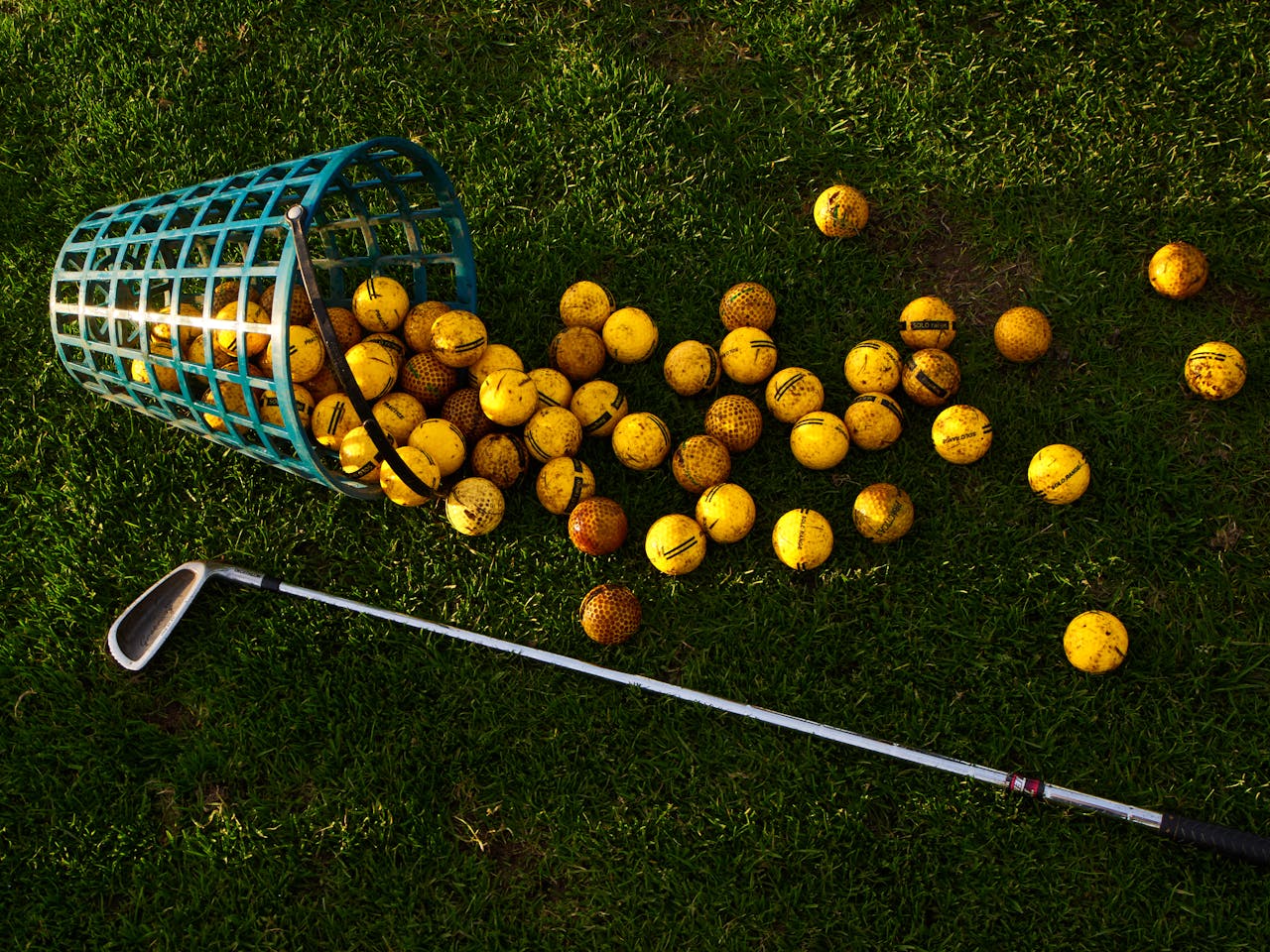 A basket of yellow golf balls spilled on green grass with a golf club nearby.